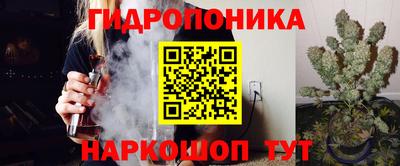 мдпв Рузаевка