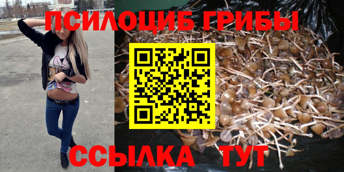 Псилоцибиновые грибы прущие грибы  Вход с VPN  Павлово  что такое наркотик  Псилоцибиновые грибы MAGIC MUSHROOMS 